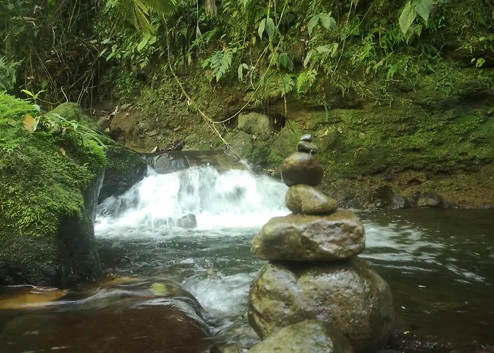 Habana River Lodge And Sanctuary
