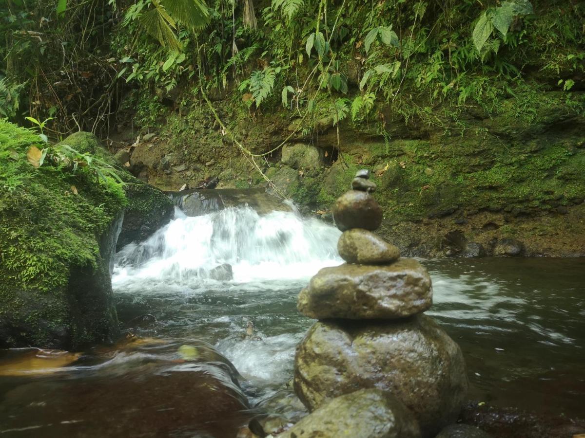 Habana River And Sanctuary Appartement *