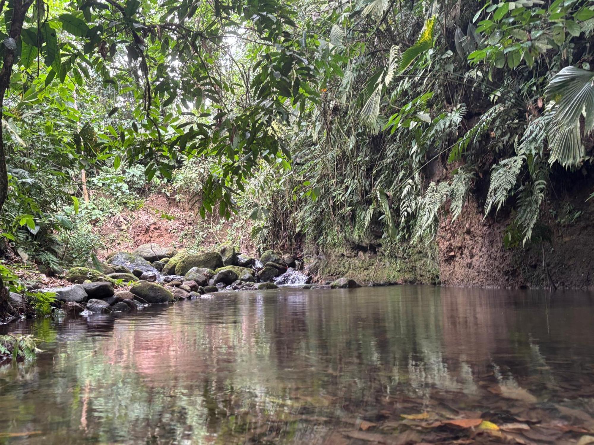 Habana River And Sanctuary La Fortuna
