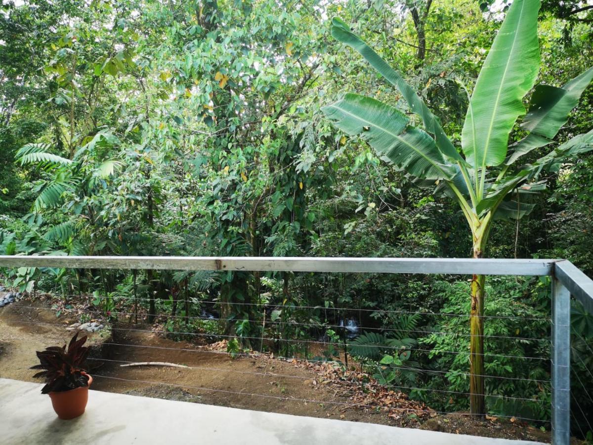 Habana River And Sanctuary Apartment La Fortuna