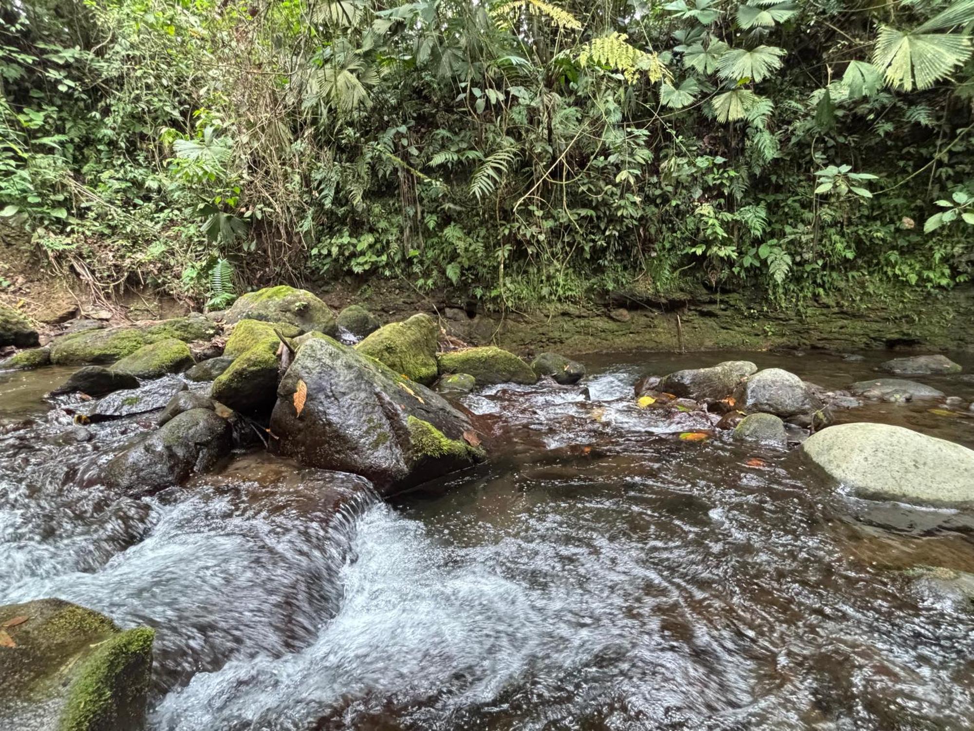 Habana River And Sanctuary *