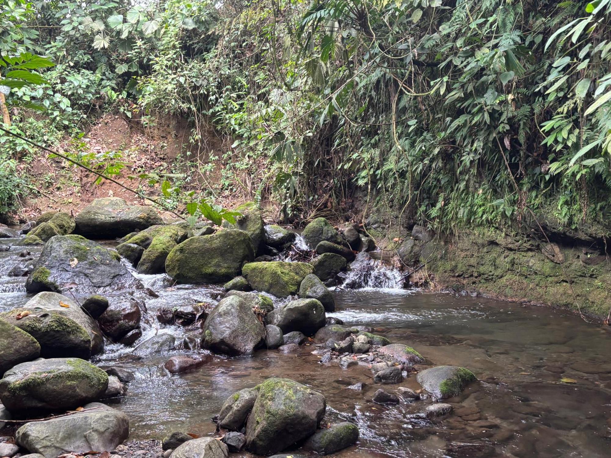 Habana River And Sanctuary Apartment La Fortuna