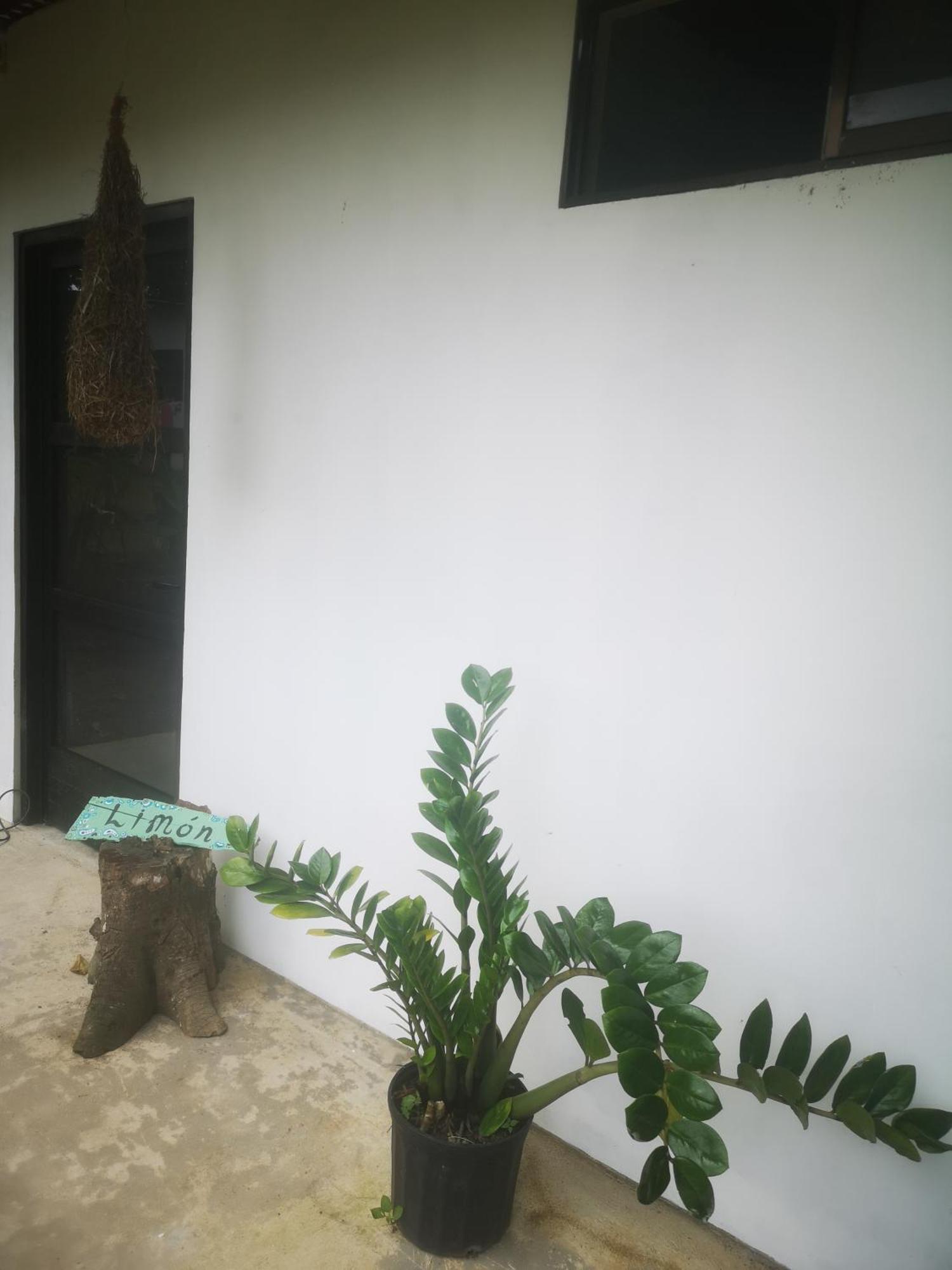 Apartment Habana River And Sanctuary La Fortuna