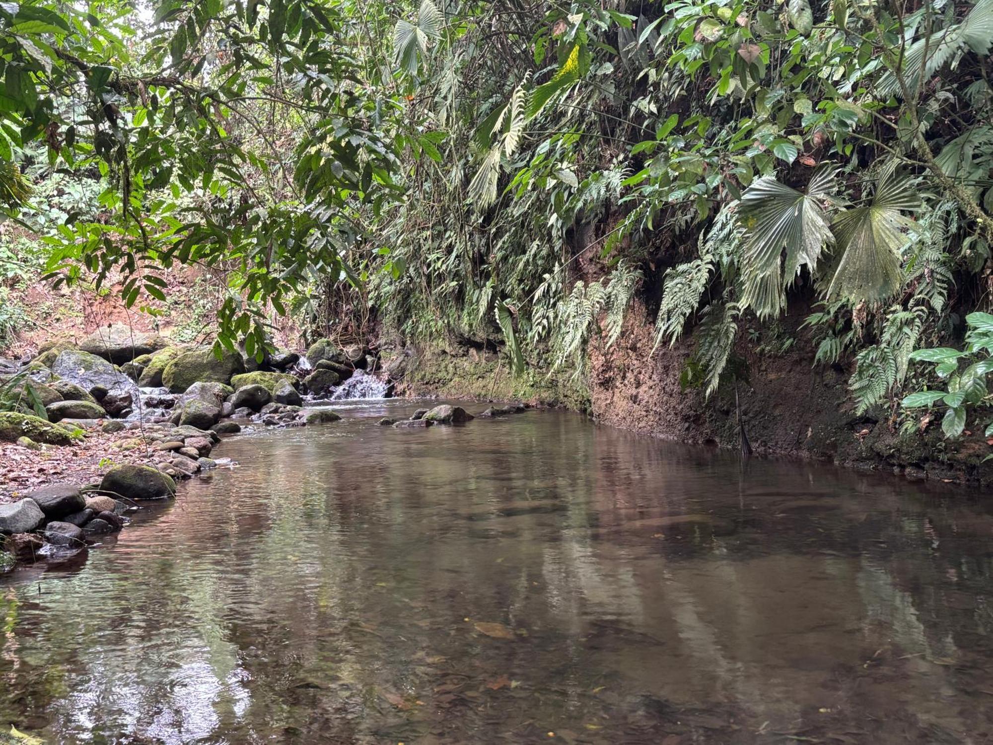 Apartment Habana River And Sanctuary La Fortuna