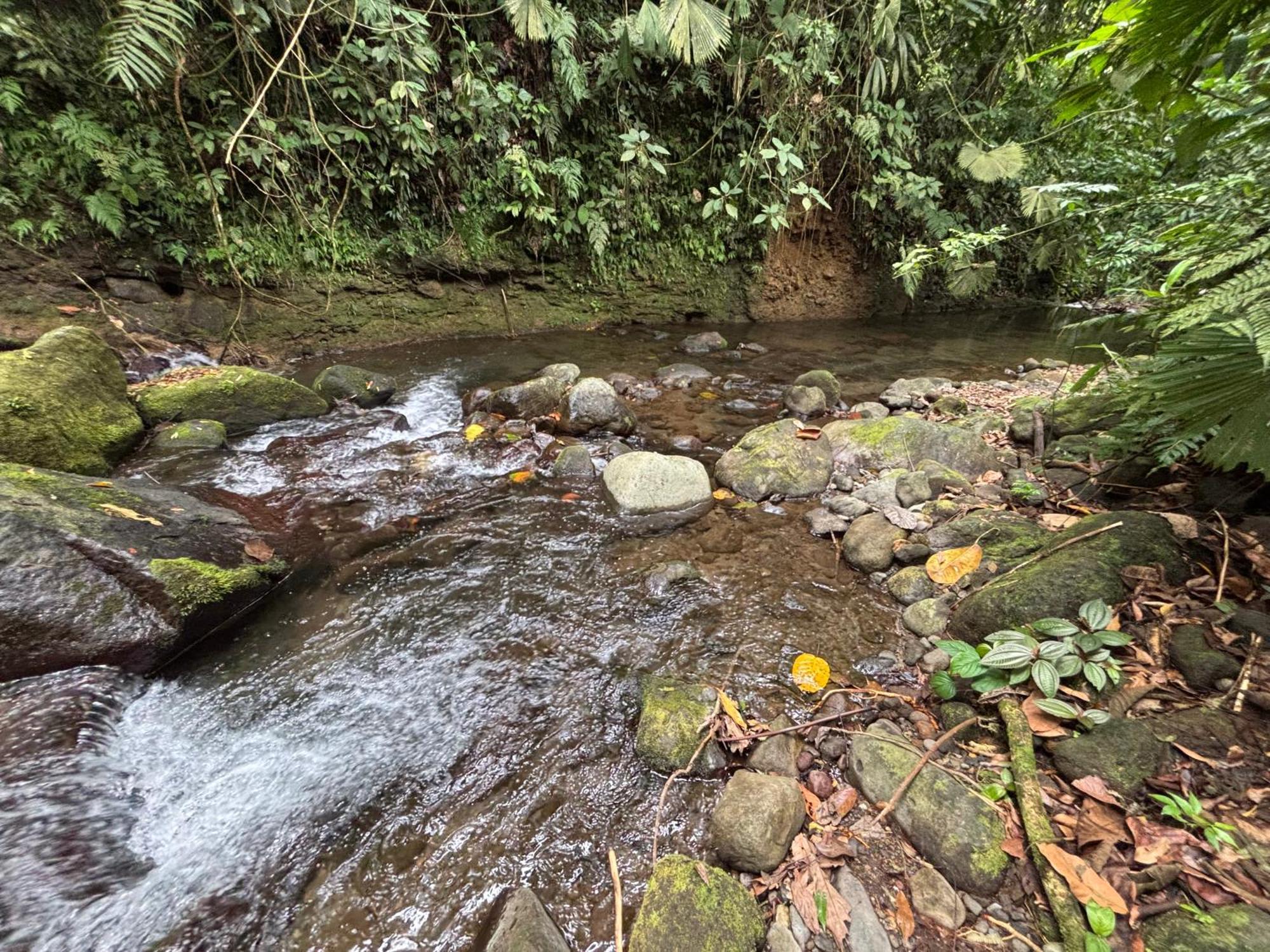 Habana River And Sanctuary * La Fortuna