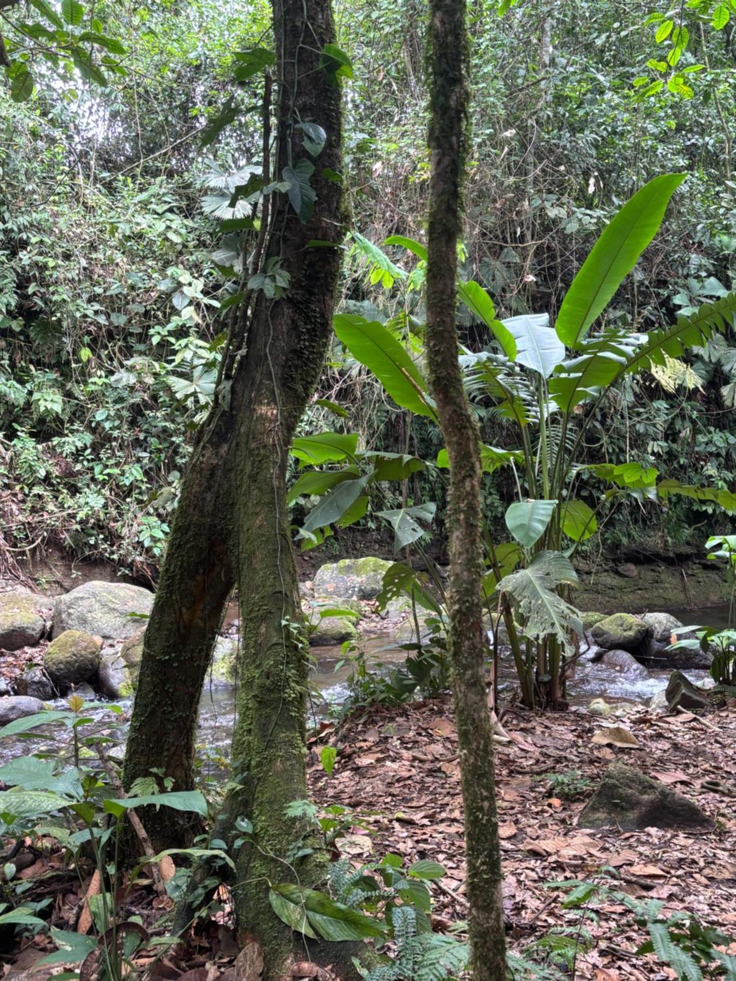 Habana River And Sanctuary Apartment