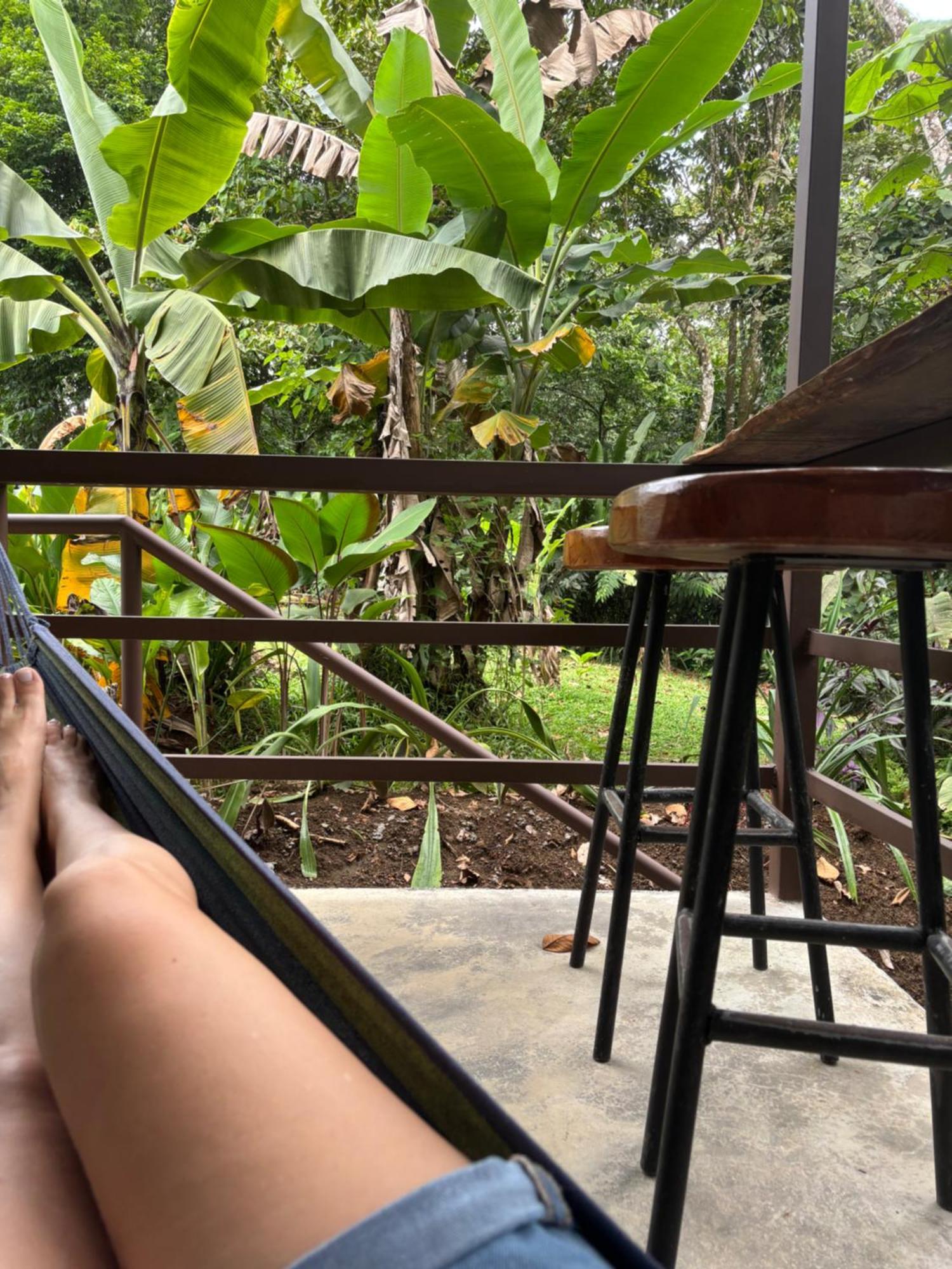 Habana River And Sanctuary La Fortuna